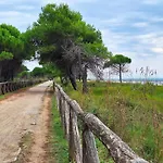 Modernly Renovated With Balcony In Daire Bibione